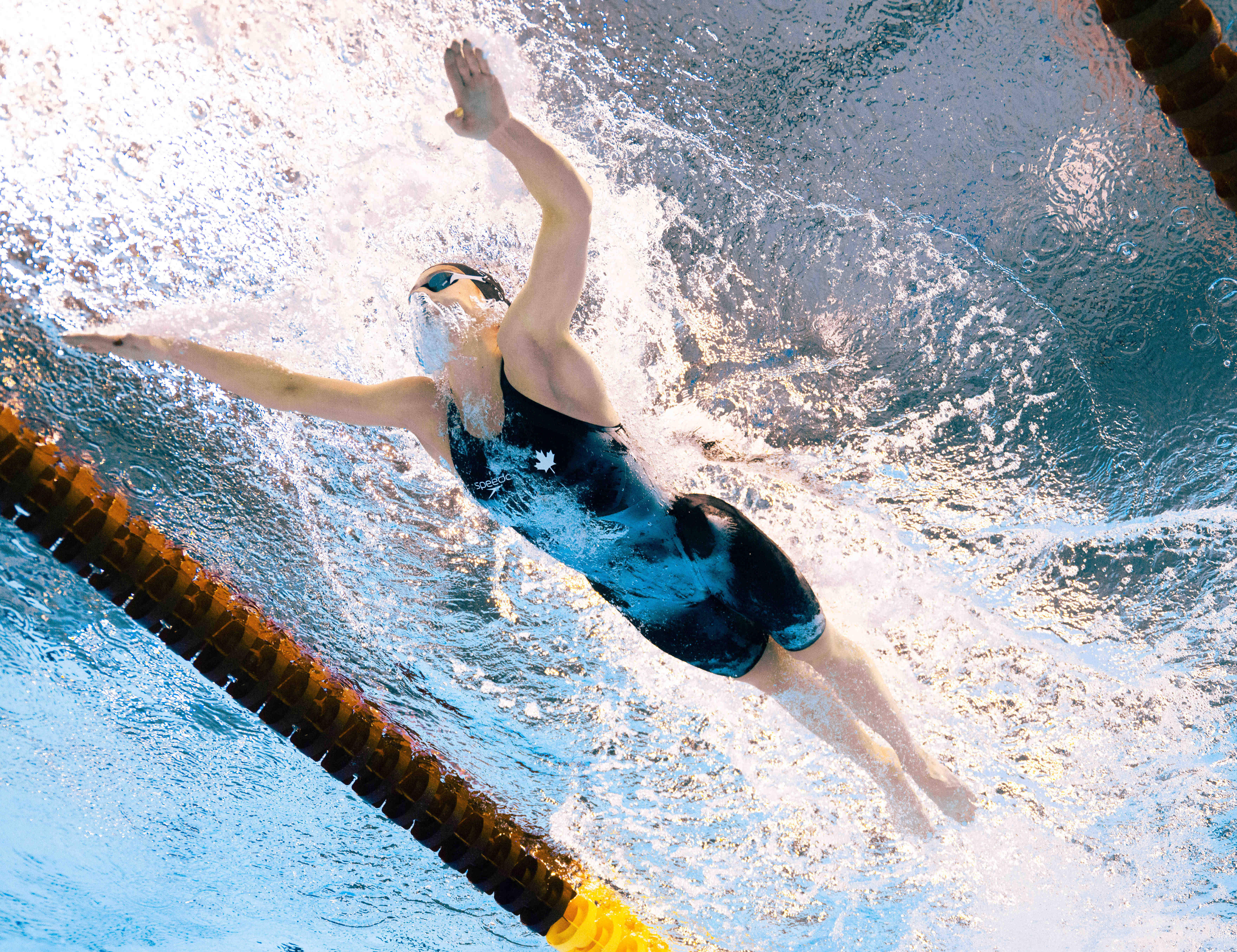 美国游泳选手刷新世界纪录，风头正劲