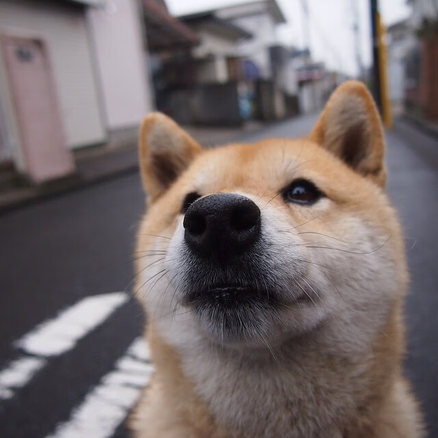 魔术横扫太阳，保罗如何从控场大师蜕变为关键先生